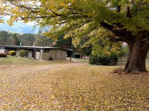 Hotels in Freeburgh